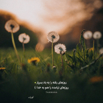 دانلود آهنگ  دلمو بردی چی به سرم آوردی  حق یک شهرو با خوشگلیت خوردی