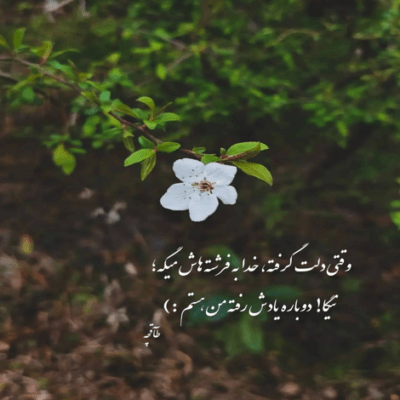 دانلود آهنگ منه احساسی توئه وسواسی آخرش نفهمیدم ازم چی میخواستی