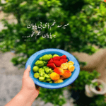 دانلود آهنگ چون اونا فهمیدن که بدون هم نه نمیتونن علیرضا نوزاد ونعیم دانلود آهنگ چون اونا فهمیدن که بدون هم نه نمیتونن علیرضا نوزاد ونعیم