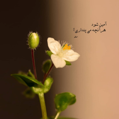 دانلود آهنگ میدونم تو هم به من فکر میکنی شب و روز