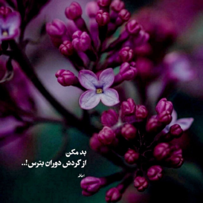 دانلود آهنگ نگاهتو ازم نگیر صدام بزن پیش همه  پیش همه