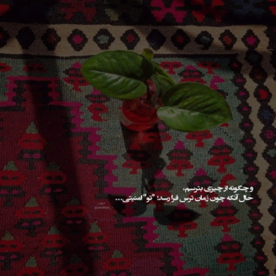 دانلود آهنگ  رویایی دارم از جنس بیداری رویای تسکین این درد تکراری
