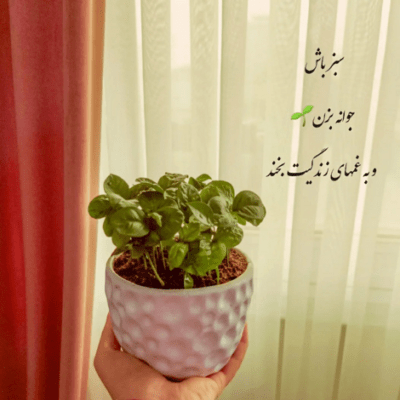 دانلود آهنگ پشت پا زدی به بختت کی واست جز من میمیره