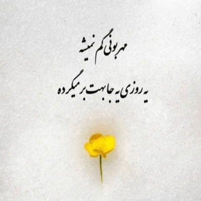 دانلود آهنگ من همه جا پر کردم تو منو میخوای شده حتی به دروغ