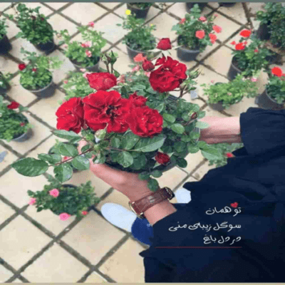 دانلود آهنگ باز برگرد مثل باد  همه برگا برقصن دورت باز برگرد تا این لحظه ها 