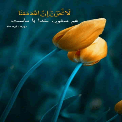 دانلود آهنگ هنوز تاج سری واسه قلبم تو آتیش زیر خاکستری