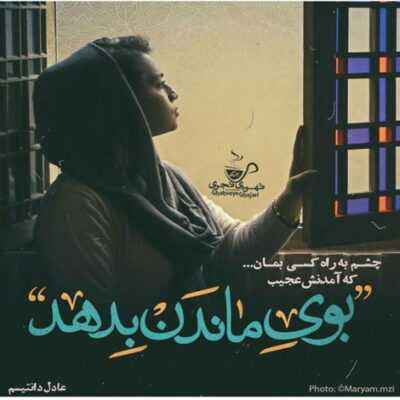 دانلود آهنگ میدونم که دنیا خیلی بی رحمه رو قلب هر دیوونه ایش یه زخمه