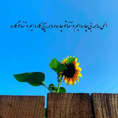دانلود آهنگ  تو که رفتی این دیوونه فرق کرده خودشو تو خاطره هات غرق کرده