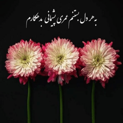 دانلود آهنگ با بد و خوب تو ساختم و ولی نه دیگه کشش ندارم