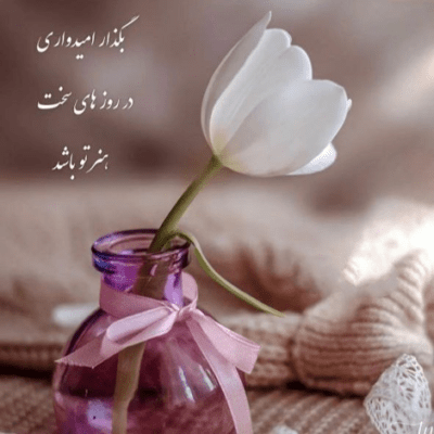 دانلود آهنگ صد بار دلم می‌خواست برم  این بار هم یکیش