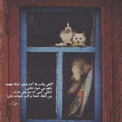 دانلود آهنگ  ز رفتن من قسم خورده ی عشق  پاک توام پس از این جدایی ببین 