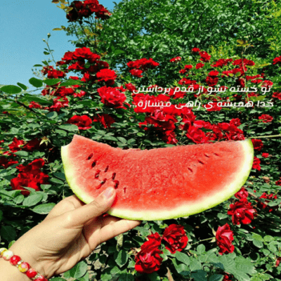 دانلود آهنگ روز و شب ها بیدار بیدار رویای لحظه های دیدار 