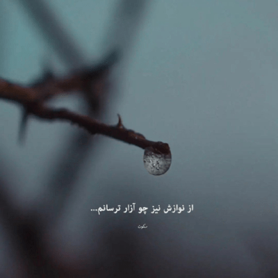 دانلود آهنگ دلبر جان ای صنم در‌ گران ای صنم رفتنت از جان برد
