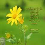 دانلود آهنگ هرچی میاد سر من بازی سرنوشته نفرین به روزگارم نفرین به اون گذشته هادی رحیمی دانلود آهنگ هرچی میاد سر من بازی سرنوشته نفرین به روزگارم نفرین به اون گذشته هادی رحیمی