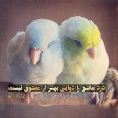 دانلود آهنگ این کودک گریان ز حال سنگین کابوس تسکین نمیابد به هیچ