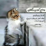 دانلود آهنگ بدون تو نه میرسه صدای من به گوش تو فقط بیا ماهور دانلود آهنگ بدون تو نه میرسه صدای من به گوش تو فقط بیا ماهور