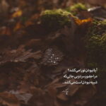 دانلود آهنگ کاشکی یادت بمونه این آدرس و نشونه خواستی برگردی میثم ابراهیمی