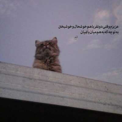 دانلود آهنگ باورت کردم و گفتی تا ابد میمانی با چه رویی عاشق هستی تو امید به هر که بستی 