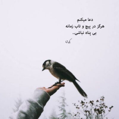 دانلود آهنگ خوبی دارم این روزا خیلی به هم نزدیکه دنیامون روزا میگذرن و تموم 