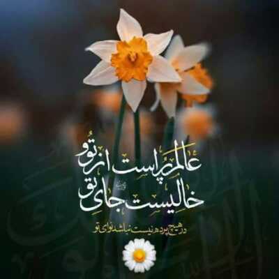 دانلود آهنگ  در ره کوفه و شام دختری محزون است از جفای اشقیا قلب پاکش خون است