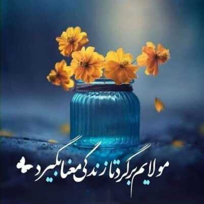دانلود آهنگ  میدونی این روزا دلتنگم میدونم اشکامو میبینی اربعین هستم یا نه 