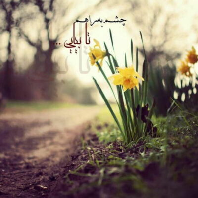 دانلود آهنگ دلم شکسته که رو سیاهم حسین دلم شکسته تویی پناهم حسین دلم شکسته دلم شکسته