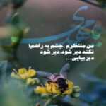 دانلود مداحی صلی الله علیک یا فاطمه صلی الله علیک یا فاطمه روی لب ها نور و قدر مهدی رسولی دانلود مداحی صلی الله علیک یا فاطمه صلی الله علیک یا فاطمه روی لب ها نور و قدر مهدی رسولی