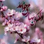 دانلود مداحی به تو از دور سلام به سلیمان جهان از طرف مور سلام به تو از دور محمدحسین پویانفر دانلود مداحی به تو از دور سلام به سلیمان جهان از طرف مور سلام به تو از دور محمدحسین پویانفر