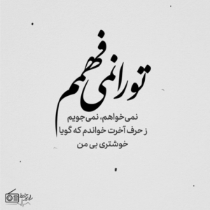 دانلود آهنگ تو گربه نه که تو بام کنام شیرانی علی زندوکیلی