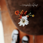 دانلود آهنگ موهاتو که بالا میبندی ماه جلوت کم میاره چشمای خاص تو احمد سعیدی