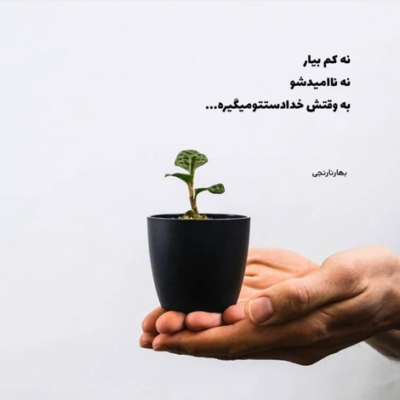 دانلود آهنگ در شام تار من آخر کجائی زهره  یاد داری زهره آن روزی 