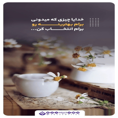 دانلود آهنگ تو هم دلبندی هم دل میبری زیبای خفته