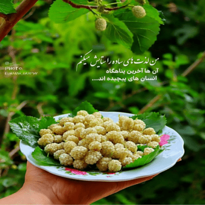 دانلود آهنگ بارونه شبونه چقد عاشقونه هوای تاریکو برق چشات