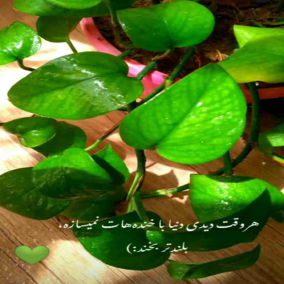 دانلود آهنگ منو به حالمن رها نکن تو که برای من همه کسی