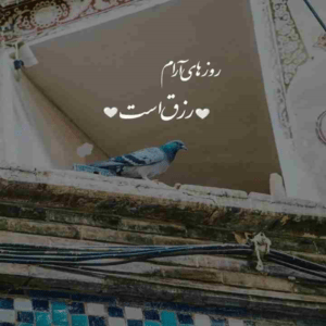 دانلود آهنگ سر عشق تو به مرگ خودم راضی شدم آخه این مردن رها شدنه احسان خواجه امیری