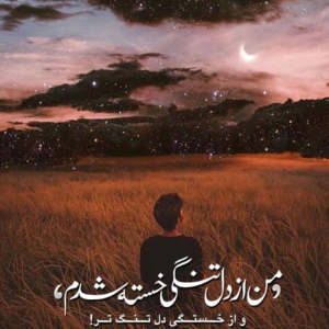 دانلود آهنگ می میرم از غم و بی خود سراغمو از آدما نگیر احسان خواجه امیری