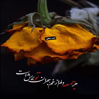دانلود آهنگ حال تو بدتر از حال من نیست پشت این گریه خالی شدن نیست
