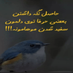 دانلود آهنگ نگاه آسمون خیس چشاش غرق ستاره یه دست سبز و آروم احسان خواجه امیری