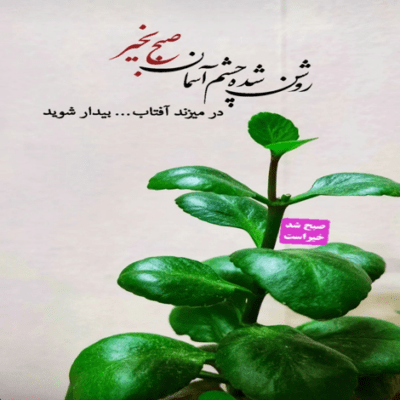 دانلود آهنگ بیدارم و می بینمت  رویا به رویا از پیش چشمم میروی  دنیابه دنیا