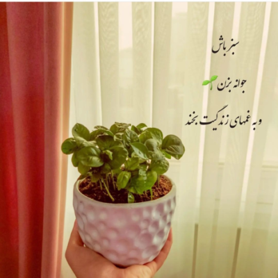 دانلود آهنگ یه نفر که عشقو معنا میکنه  یه نفر که تشنگی تسکینشه
