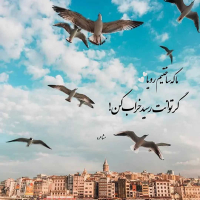 دانلود آهنگ دوست داره دلم  با تو کار داره دلم