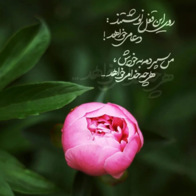دانلود آهنگ قدم زدن تو هوای سرد و ادامه های یه درد پاییزی