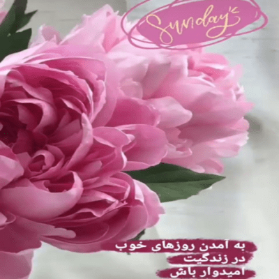 دانلود آهنگ آتیش روشن کن هر گوشه ی خونه م بی فصل آغوشت خیلی زمستونم