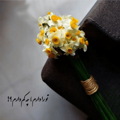 دانلود آهنگ دستتو بده نبض دستت ساعت جهانمه لمس لحظه هام کنارت