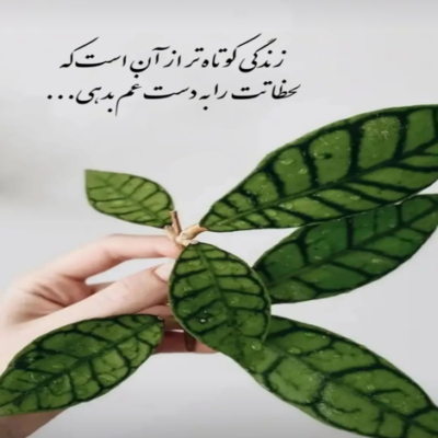 دانلود آهنگ می رسم از تو به خودم شکل لبخند تو شدم