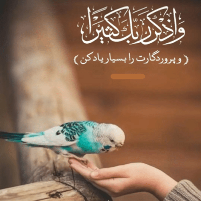 دانلود آهنگ از این عادت باتو بودن هنوز ببین لحظه لحظه ام کنارت خوشه