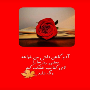 دانلود آهنگ یه روزی میاد که دیگه دلت برام نریزه که یادت نیاد تولد من چند پاییزه خواجه امیری