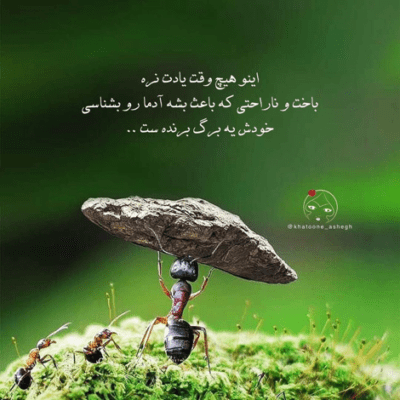 دانلود آهنگ نگو میرم که میدونی این دیوونه  بدجور حساسه رو این کلمه