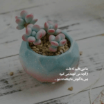 دانلود آهنگ خوب تونستی دق بدی منو چی شد که عوض شدی یهو میثم ابراهیمی دانلود آهنگ خوب تونستی دق بدی منو چی شد که عوض شدی یهو میثم ابراهیمی