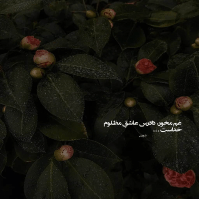 دانلود آهنگ  دارم از با تو بودن دستای تو توو دستای من چه حالی دارم
